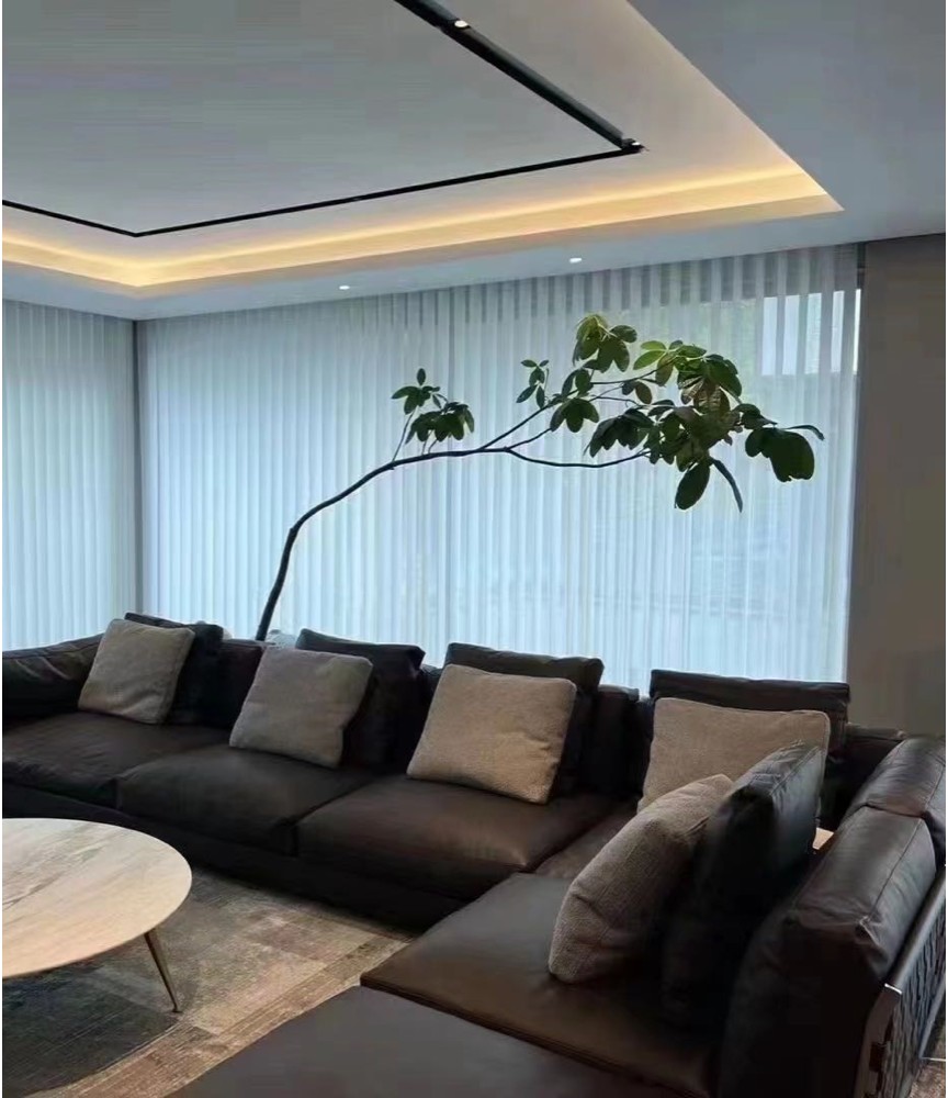 Sheer vertical blinds