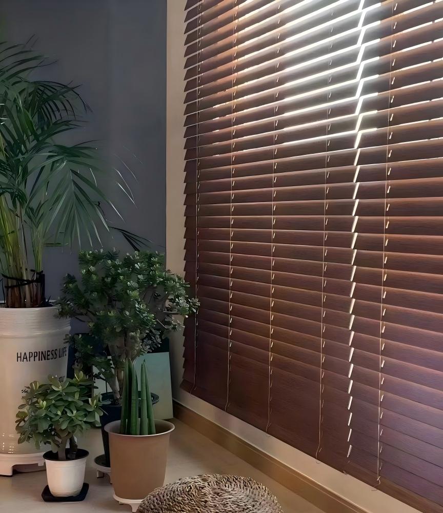 Horizontal Blinds